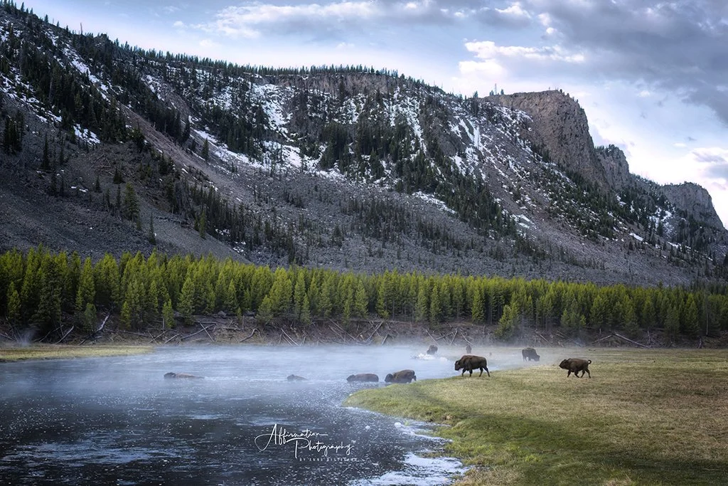 2024-05-13 001 008-1 sized.jpg