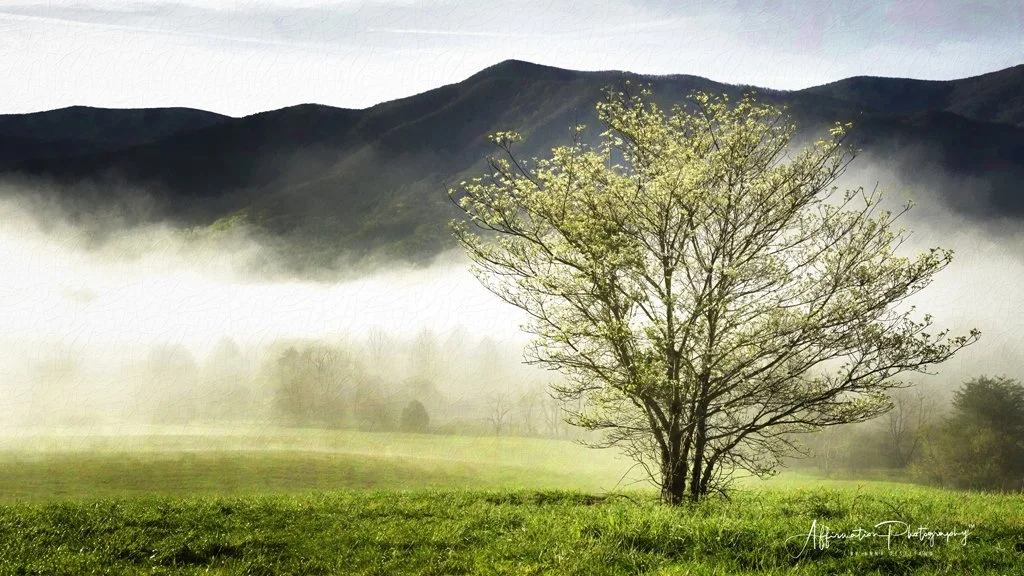 2022-04-14 004 064-Edit merged 2-1.jpg