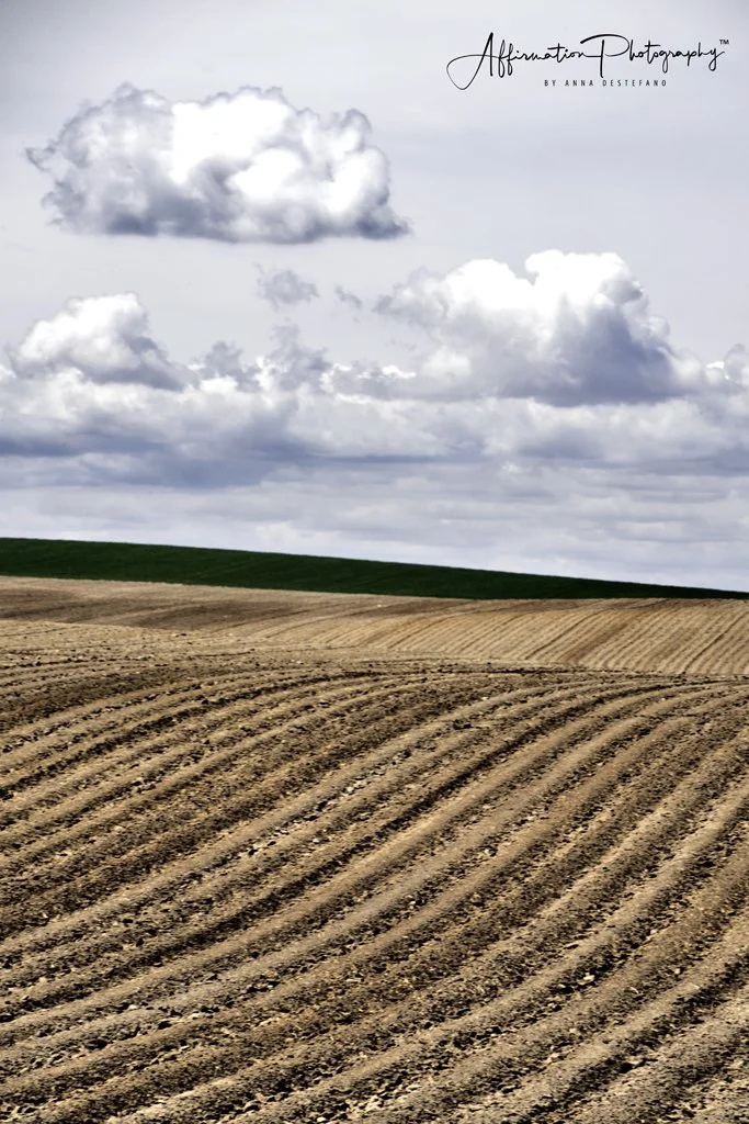 2022-05-23 001 127-Edit MERGED 2-1 sized.jpg