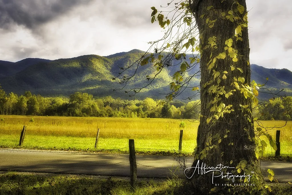 2014-03-07 001 227 merged 2-1 SIZED.jpg