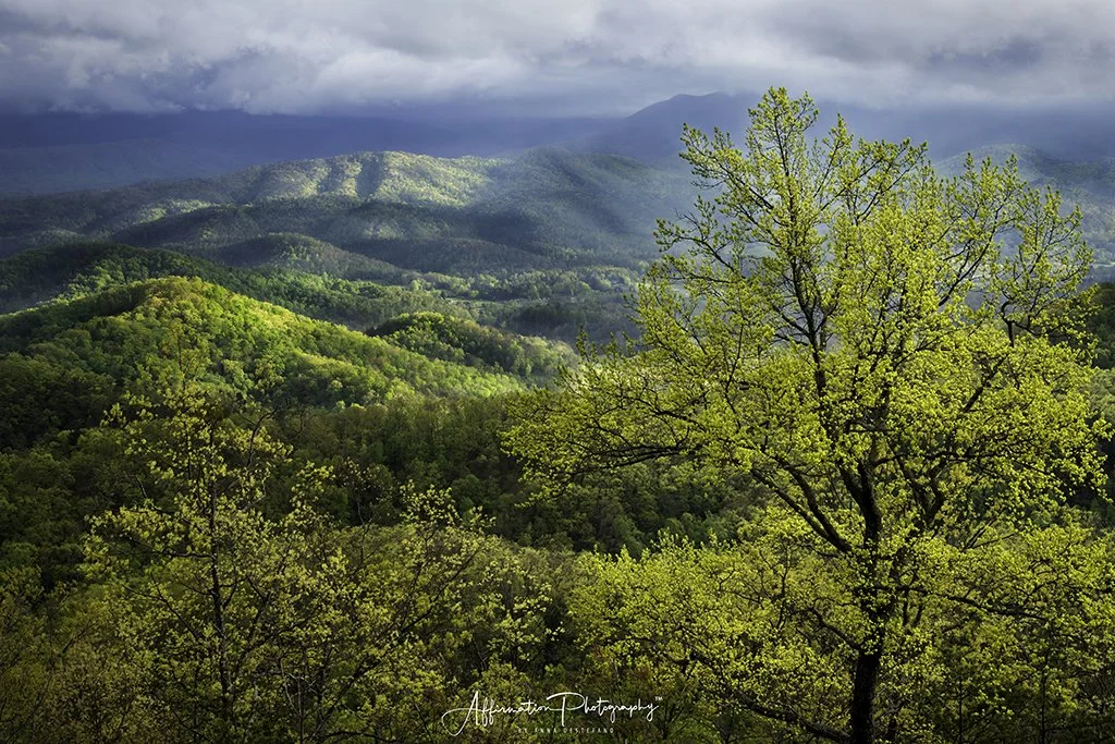 2021-04-24 001 420 merged 2-1 SIZED.jpg