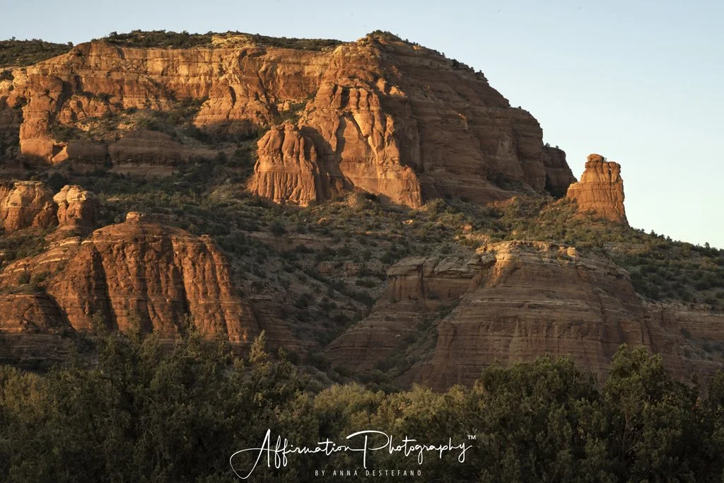 DSC_2406-Edit-Edit merged-1 SIZED.jpg