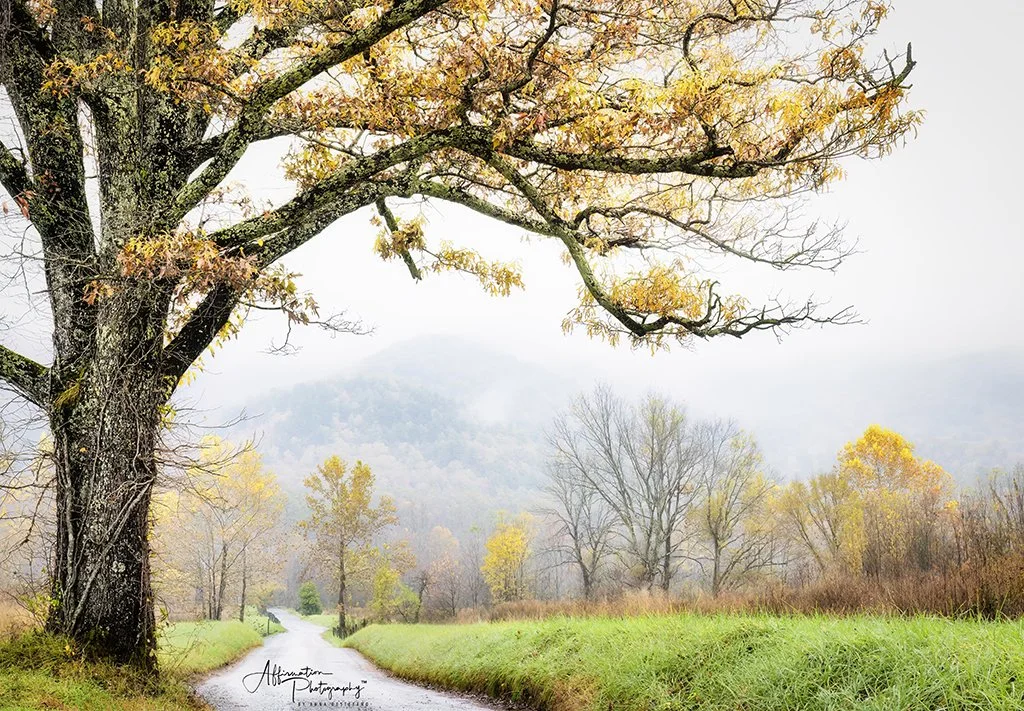 2025-10-29 002 241 MERGED-1 SIZED.jpg