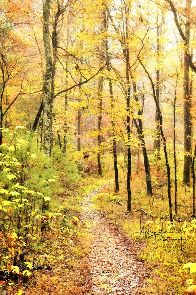 2025-10-28 001 220 merged-1.jpg