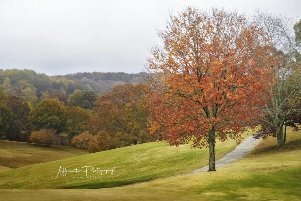 2022-10-30 001 192-Edit merged sized-1.jpg