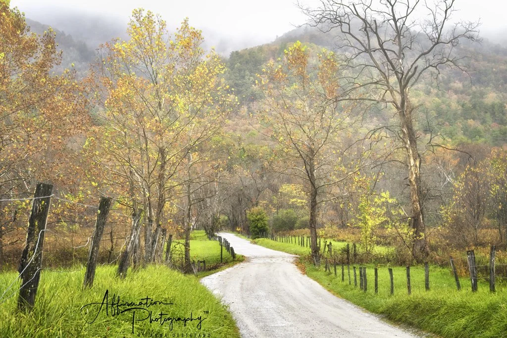 2023-10-27 002 224-Edit merged-1 sized.jpg