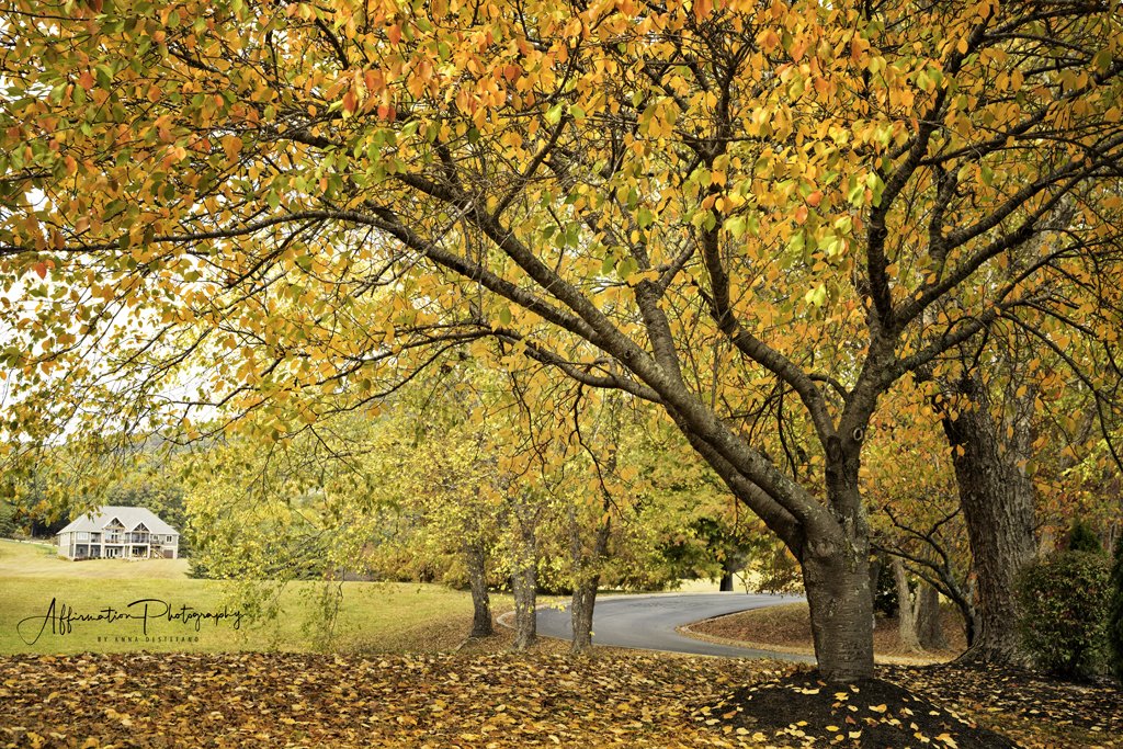 2013-12-31 002 140-Edit SIZED-1.jpg