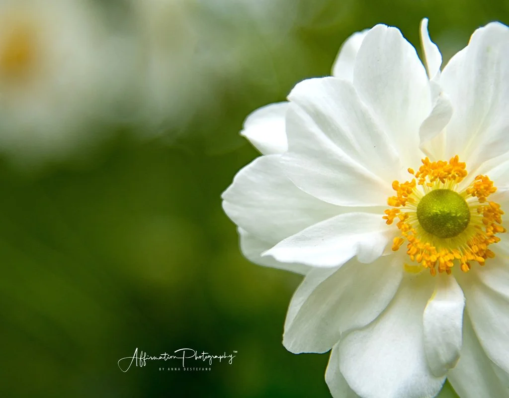 2017-09-29 002 171 NEW 16-1. JPG 2jpg.jpg