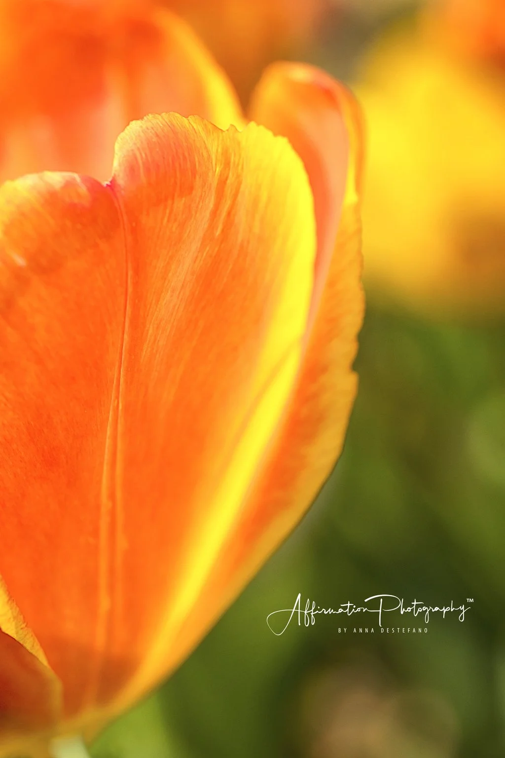 2018-03-10 001 121 MERGED NEW 16 JPG 1-1.jpg