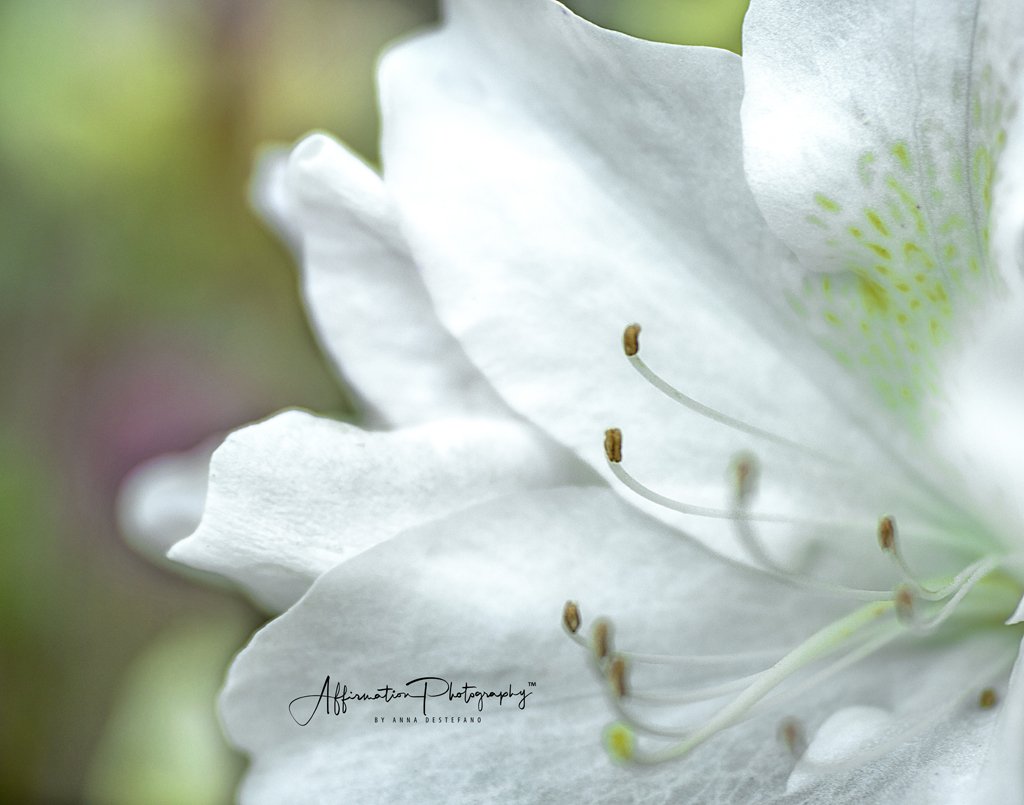 2018-04-02 001 268 merged CROPPED jpg 3-1.jpg