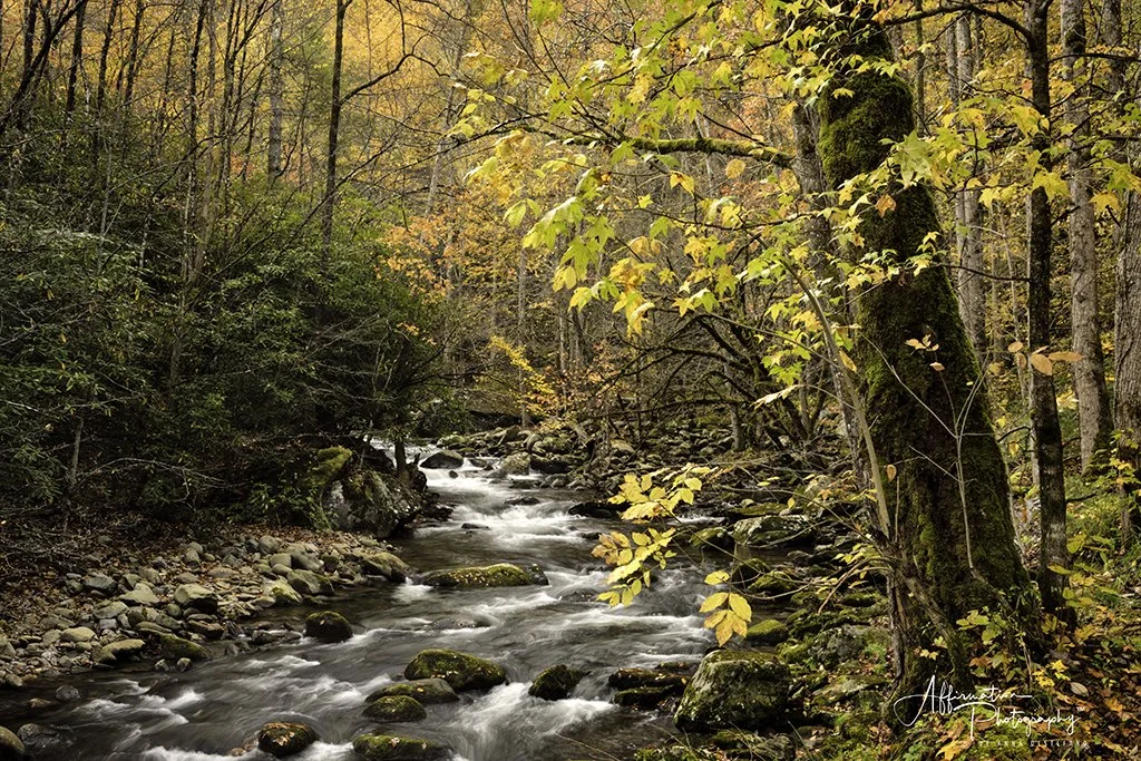 2021-11-05 002 072 merged 3-1 sized.jpg