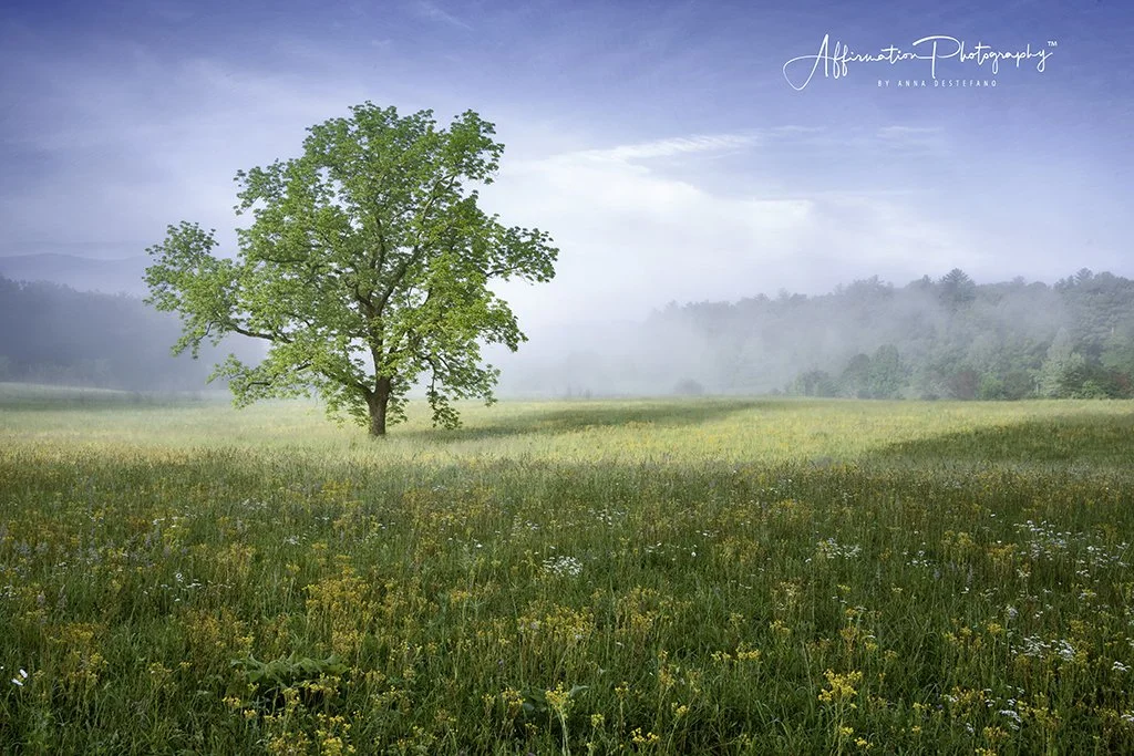 Cades Cove Sunrise.jpg