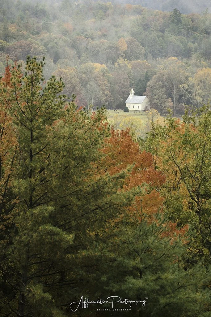 2021-11-04 001 269-Edit 2-1 sized.jpg