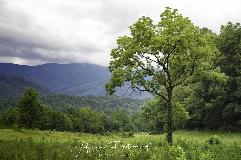 2014-01-02 001 017-Edit merged-1 SIZED.jpg