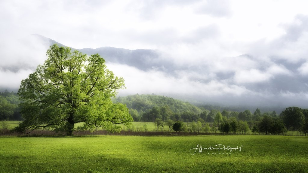 2023-05-12 004 041-Edit merged 3-1.jpg