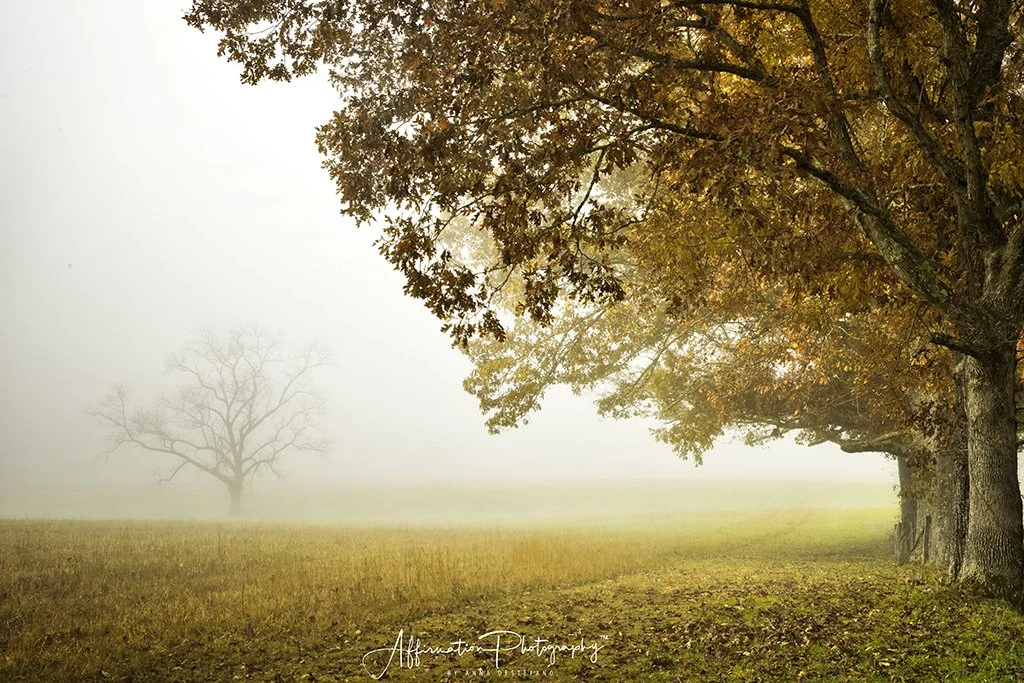 2021-11-05 004 190 merged 2-1 sized.jpg