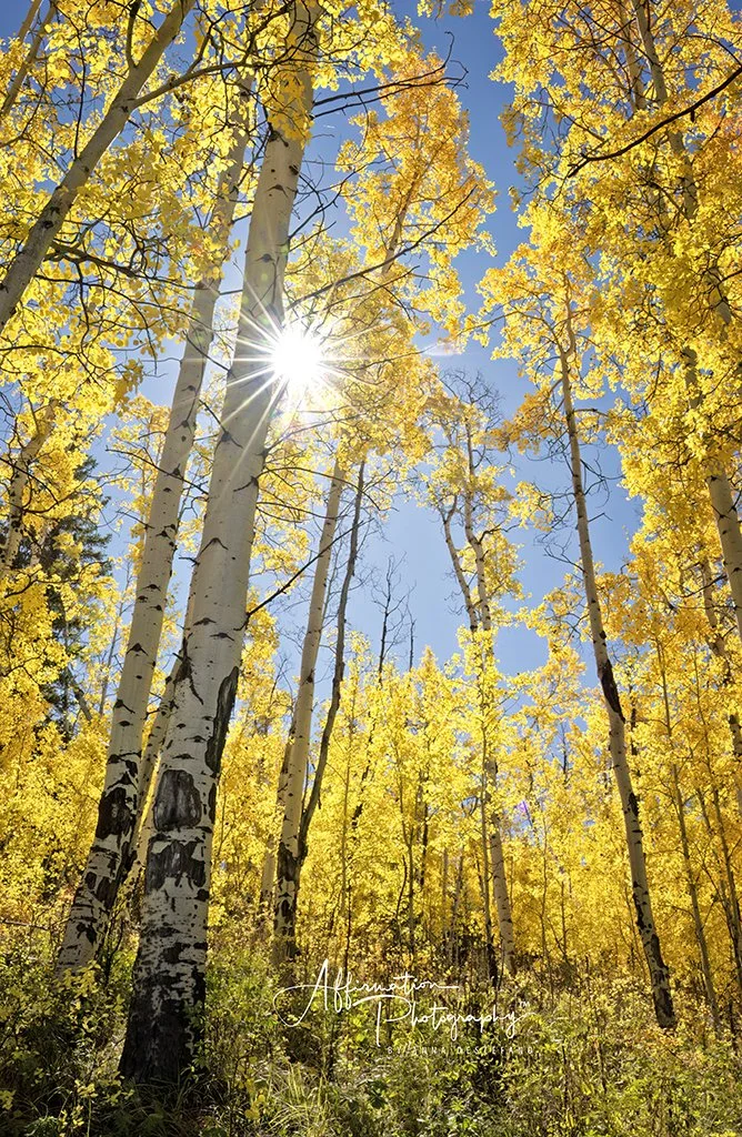 2024-09-24 001 384-1 sized.jpg