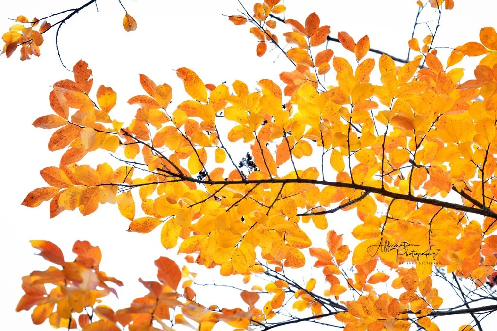 2025-11-01 112 MERGED-1 SIZED.jpg