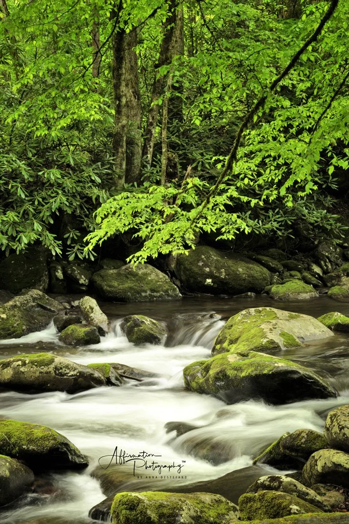 2025-04-30 6528-1 SIZED.jpg