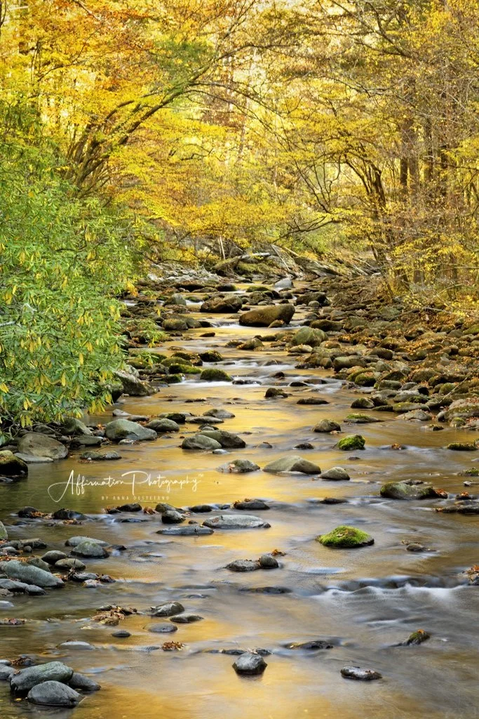 2024-10-29 001 072 darker SIZED-1.jpg