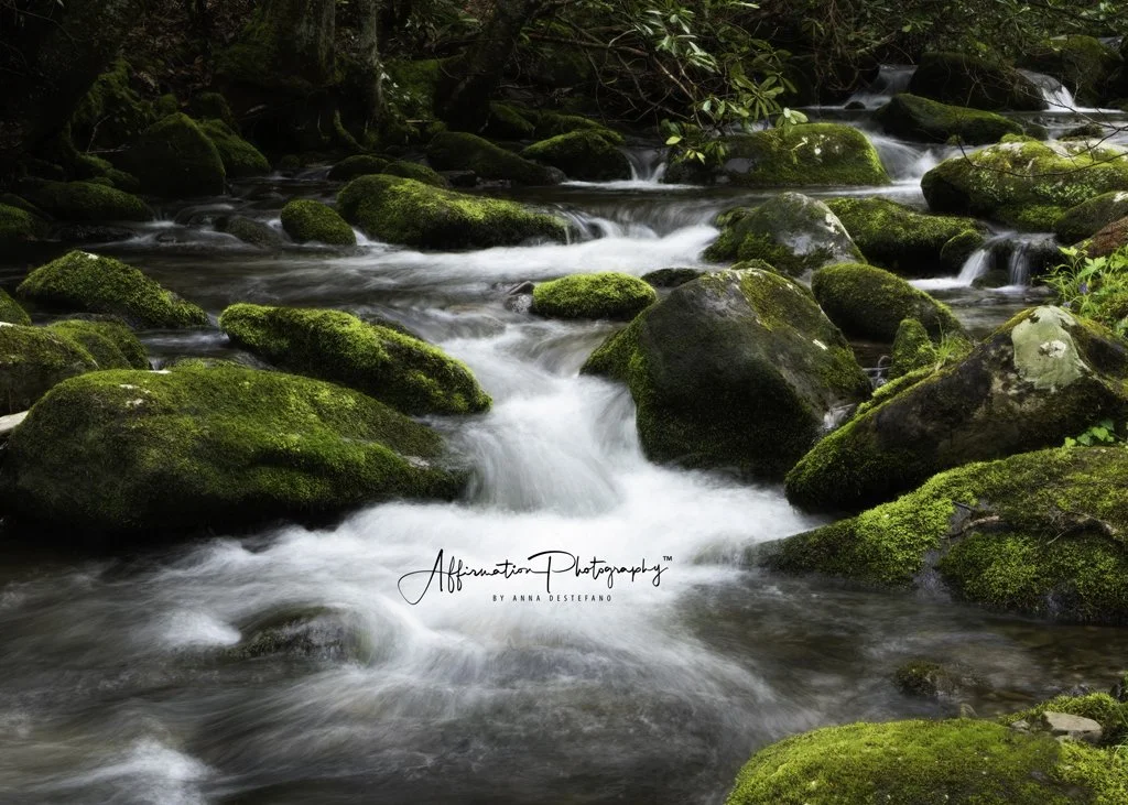 2021-04-21 001 059-Edit TOPAZ 2-1.jpg