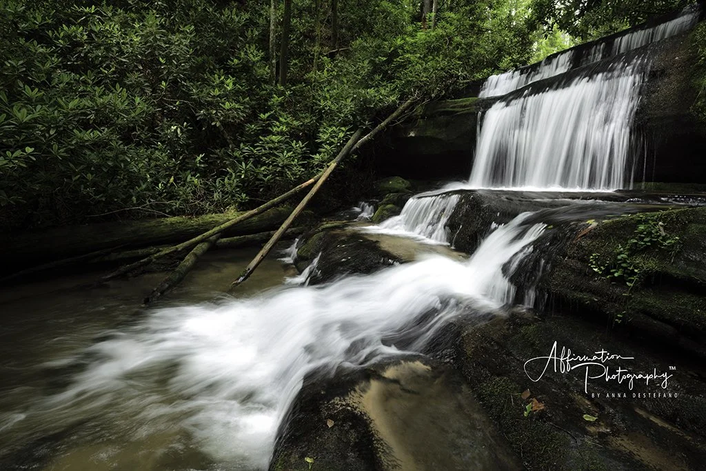 2021-07-30 001 156 merged 2-1 SIZED.jpg