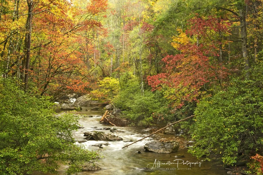 2021-10-30 001 003 MERGED-1 SIZED.jpg