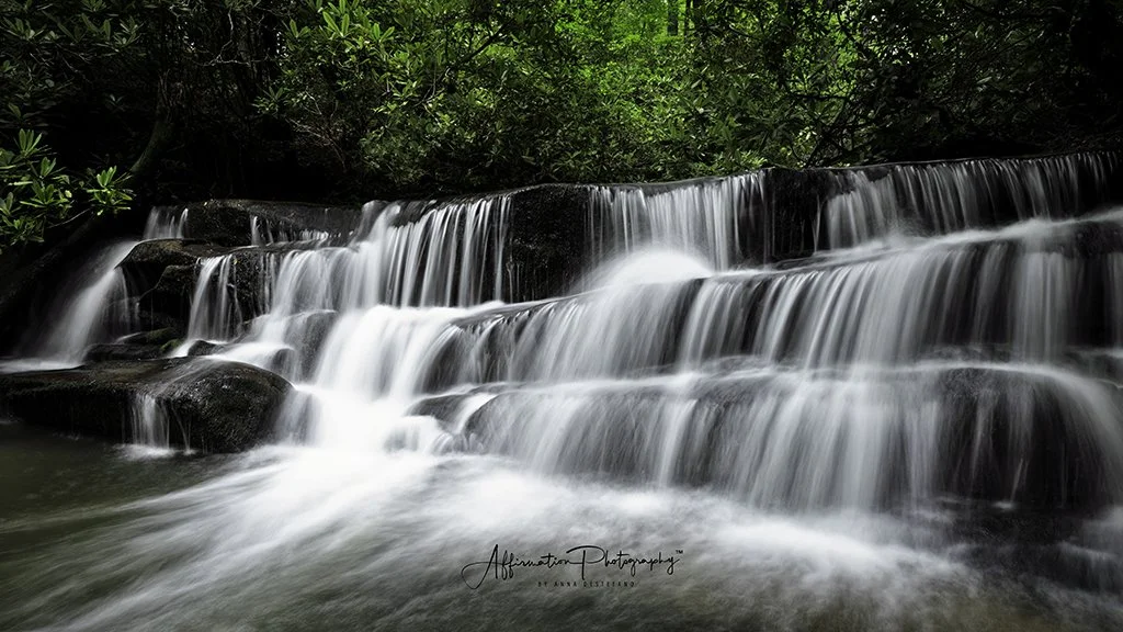 2021-07-30 001 109-Edit MERGED-1 SIZED.jpg