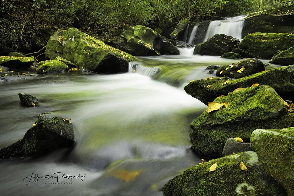 2021-10-13 001 385 merged 2-1 sized.jpg