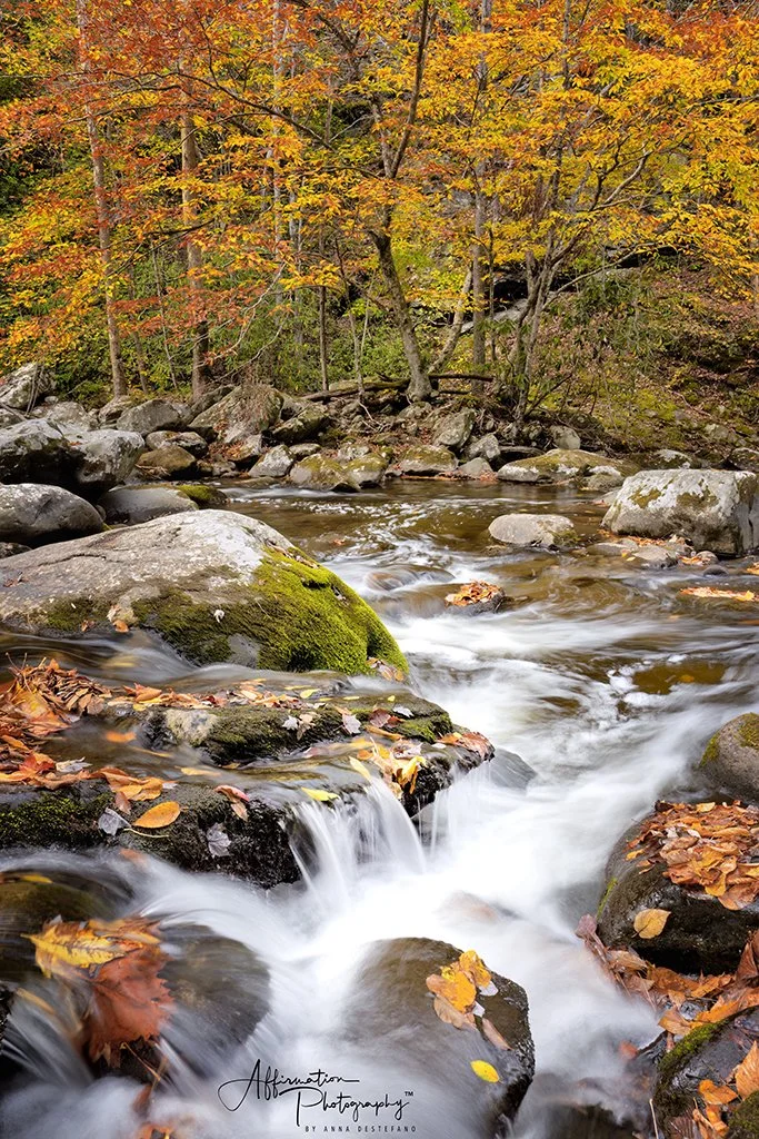 2024-10-29 002 973 flattened-1 SIZED.jpg