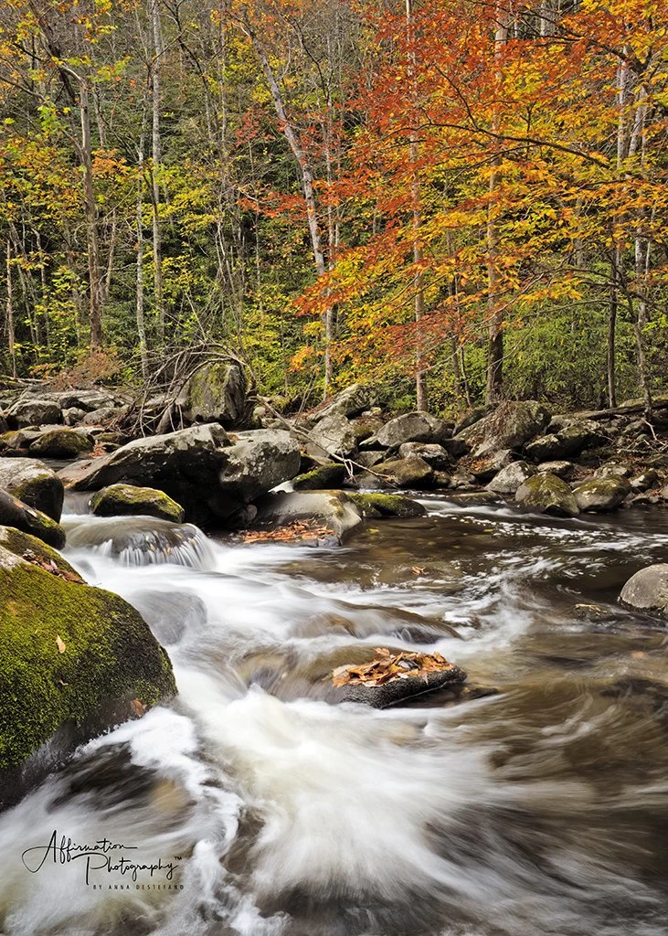 2024-10-29 002 935-1 SIZED.jpg