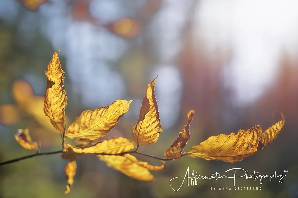 2023-10-27 004 568 merged-1 sized.jpg