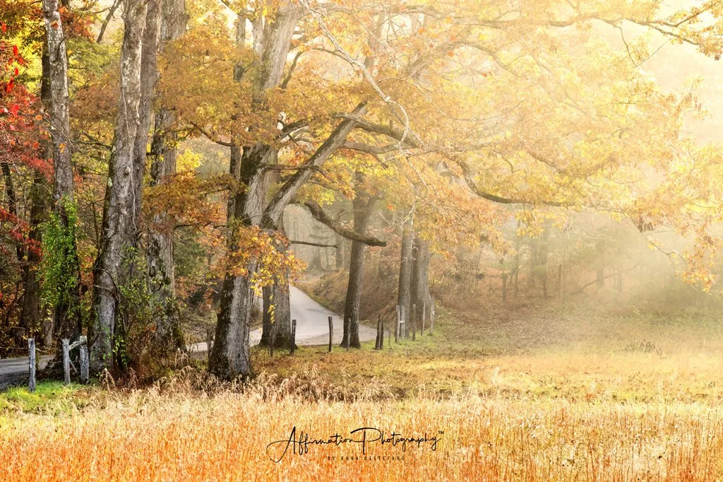 2025-11-01 001 080-1 SIZED.jpg