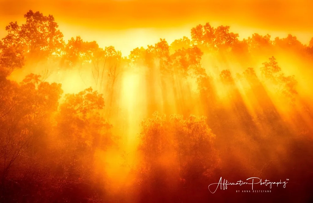 2018-11-17 001 278-HDR merged 2 DENOISE-1 SIZED.jpg