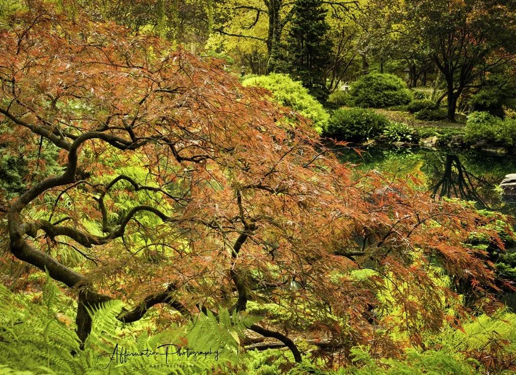 2021-10-29 001 228 merged CROPPED-1 SIZED.jpg