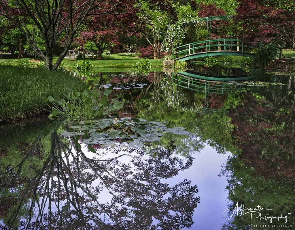 2020-05-12 001 044 - Copy-Edit MERGED 3-1 SIZED.jpg