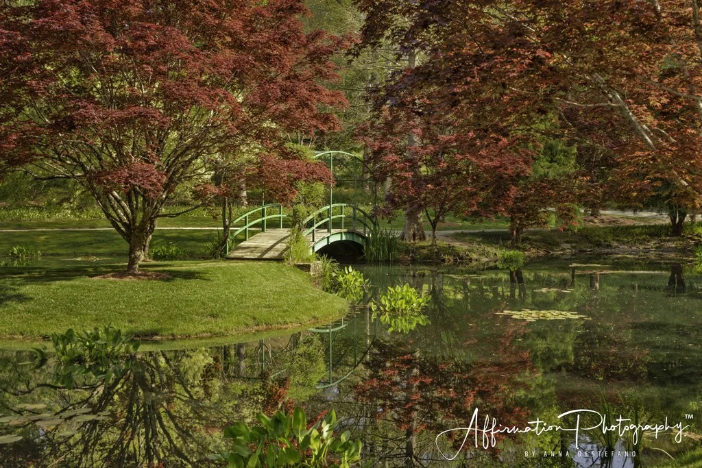 2020-04-17 001 102 MERGED 2-1 SIZED.jpg