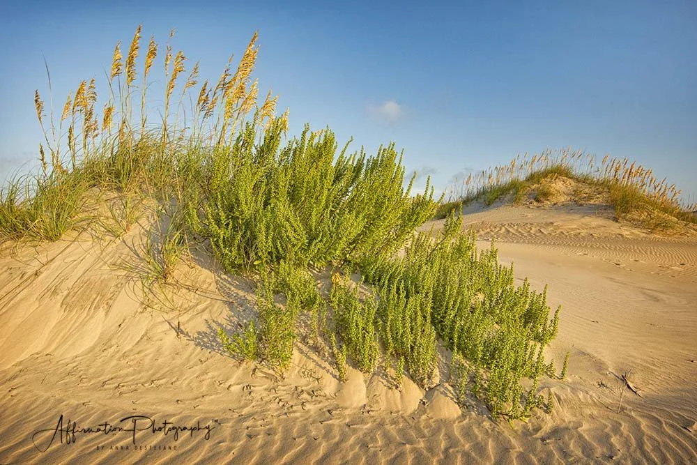 2018-08-25 001 093 - Copy JPG 1 SIZED-1.jpg