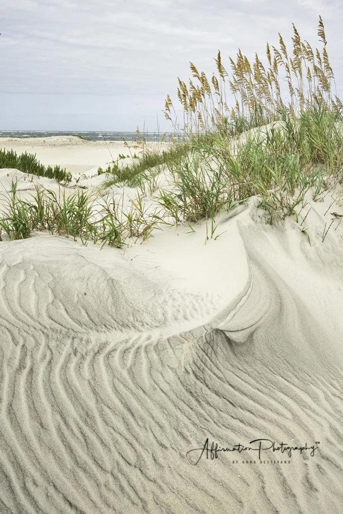 2020-09-16 002 715 - Copy-Edit MERGED 2 SIZED-1.jpg