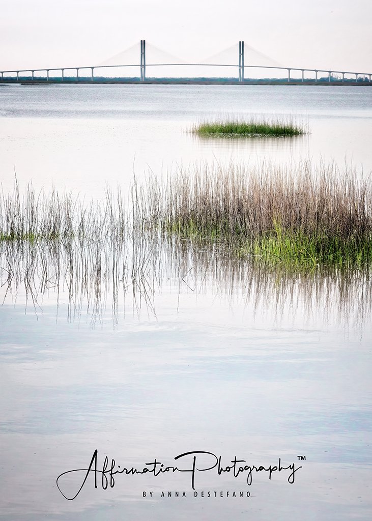 2024-04-08 001 618-1 sized.jpg