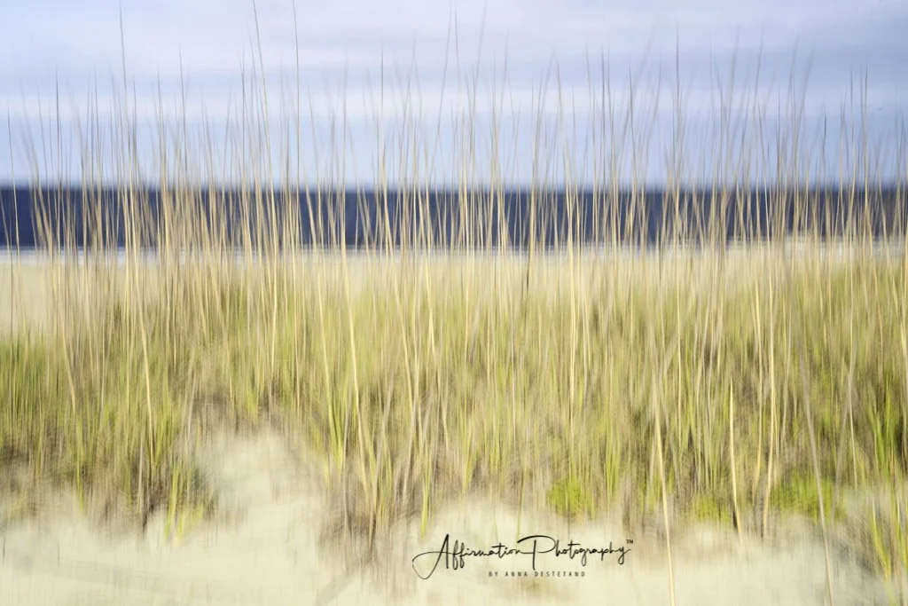 2022-04-21 001 645-Edit sized-1.jpg