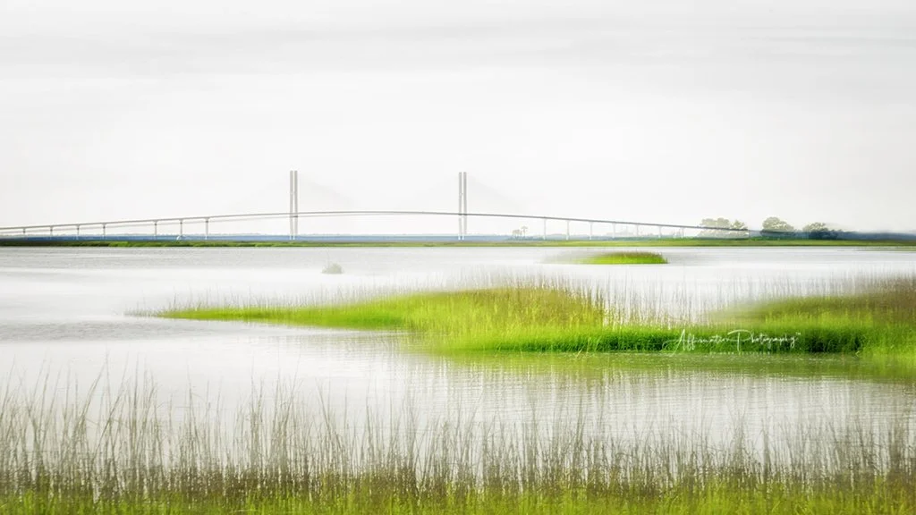 2024-04-08 001 248 Original SIZED-1.jpg