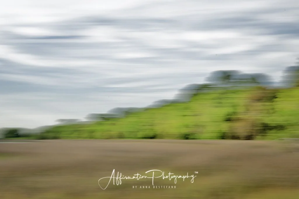 2024-04-08 001 271 sized-1.jpg