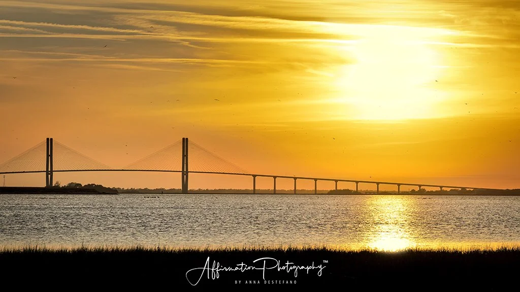 2024-04-08 001 732-1 sized.jpg