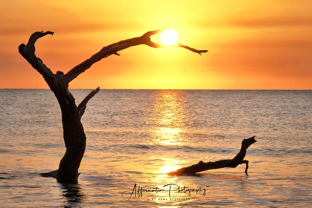 2025-03-22 002 138-1 SIZED.jpg