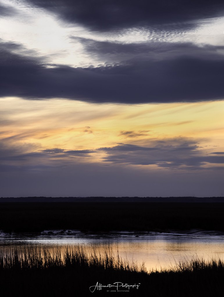 2021-03-05 002 503 merged 3-1 SIZED.jpg