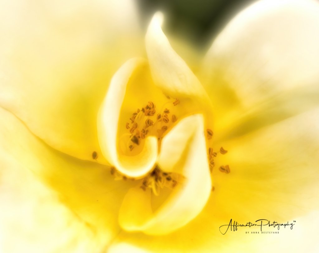 2018-10-14 001 001 - Copy CROPPED 2-1.jpg