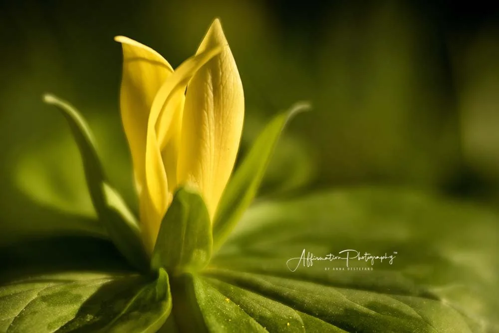 2018-05-02 002 169 JPG 2 SIZED-1.jpg