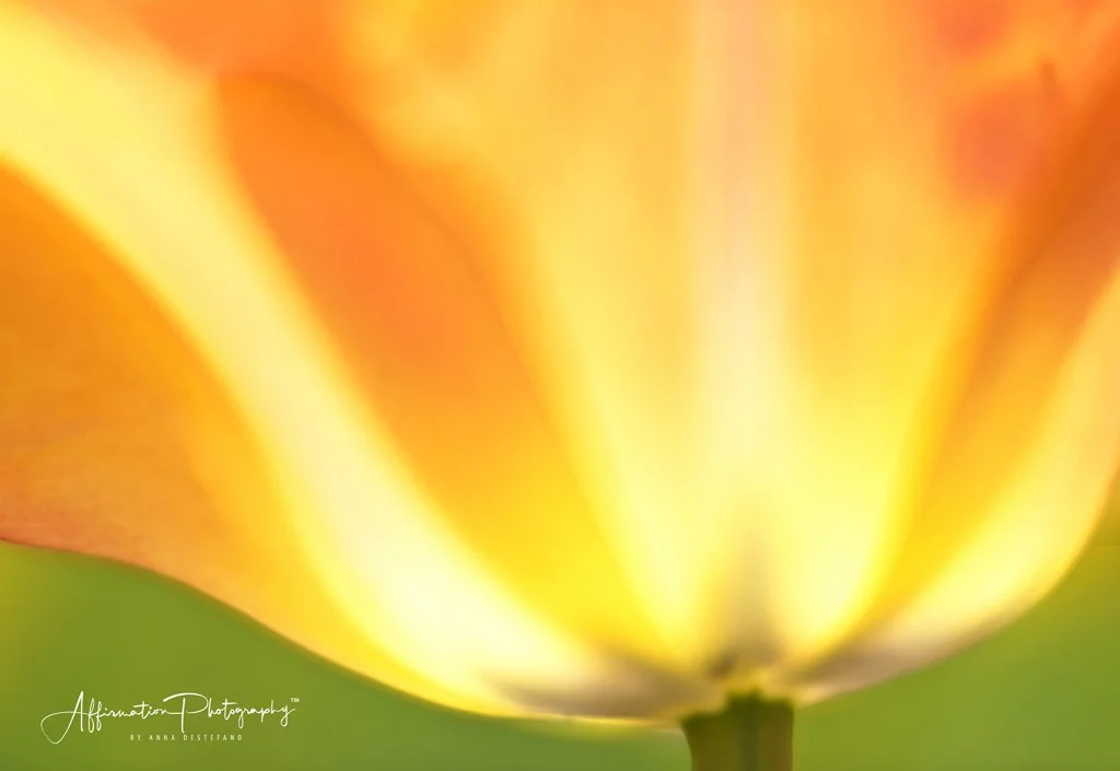 2019-03-30 001 361 - Copy merged 2-1 SIZED.jpg