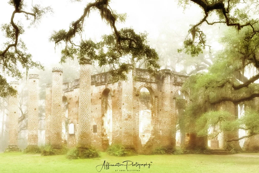 2019-03-03 001 002 merged 4-1 sized.jpg